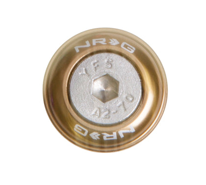 NRG Fender Washer Kit (set of 10)