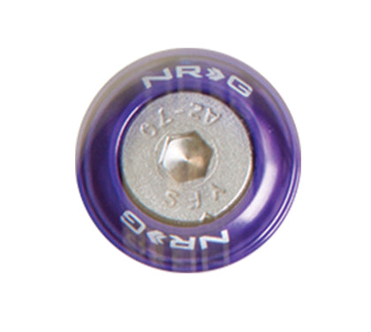 NRG Fender Washer Kit (set of 10)