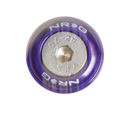 NRG Fender Washer Kit (set of 10)